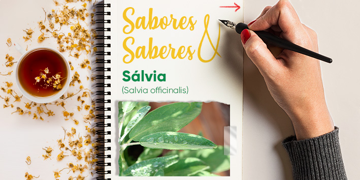 Sabores e saberes - Salvia 1